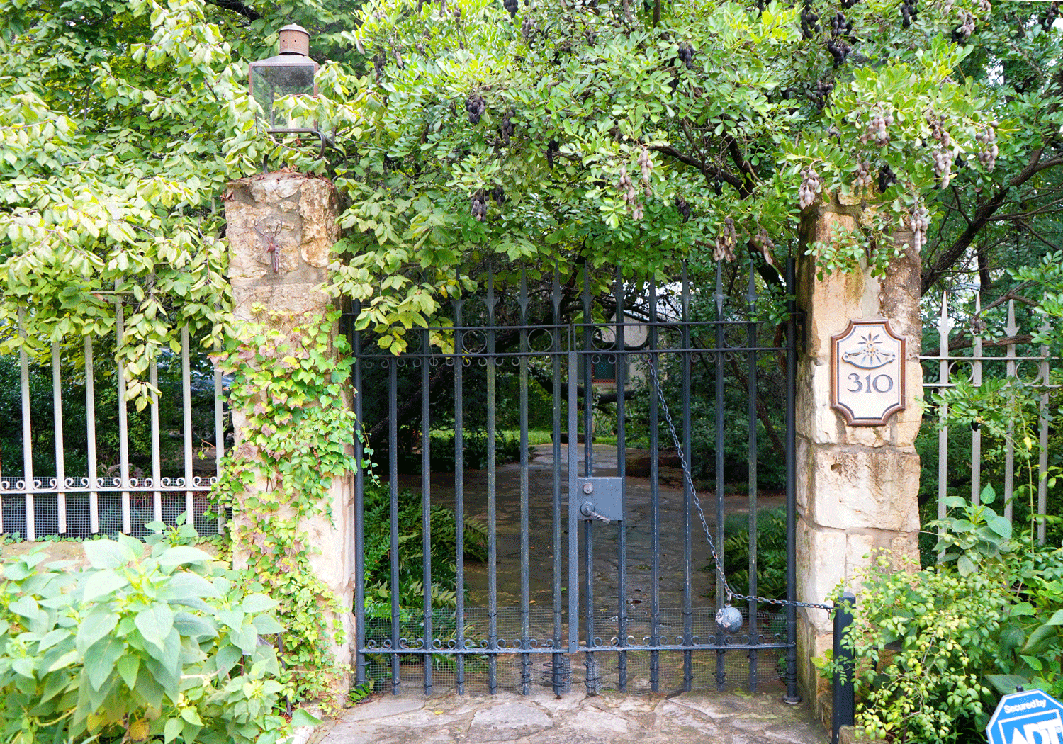Paseo-Encinal_310.gif