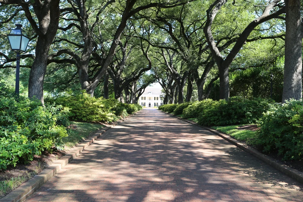 Lutcher Brown House — San Antonio Registry