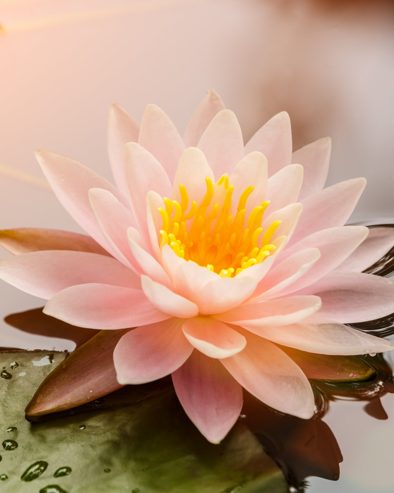 iStock-484334636.jpg