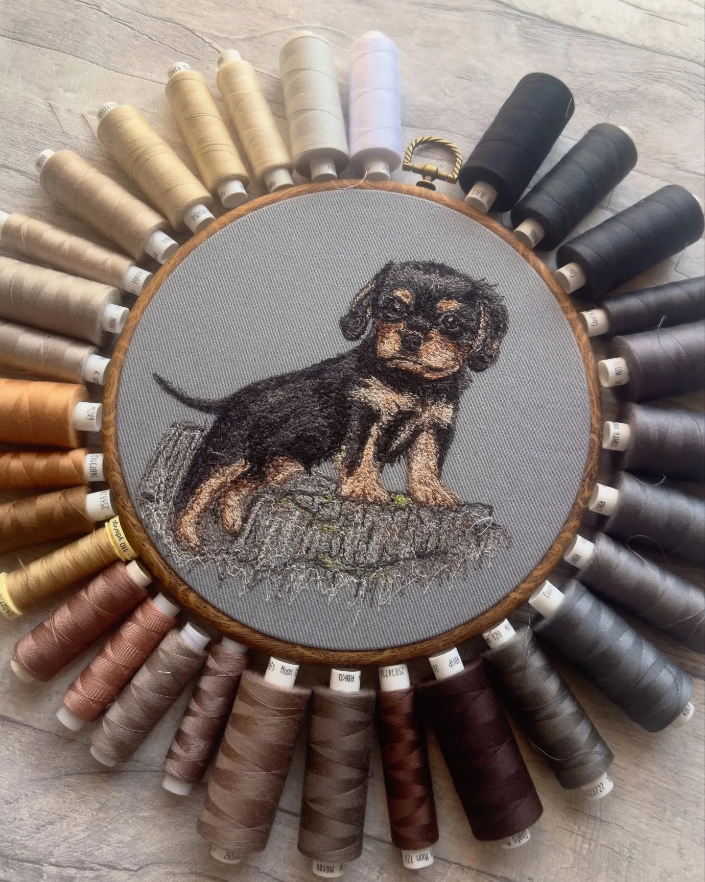 Obsessed with this adorable little dog! ✨

I don&rsquo;t get many full body portraits but I love doing them, always nice to have something different! 🩶

Hope you&rsquo;re all surviving this heat and having a happy Friday! ⭐️