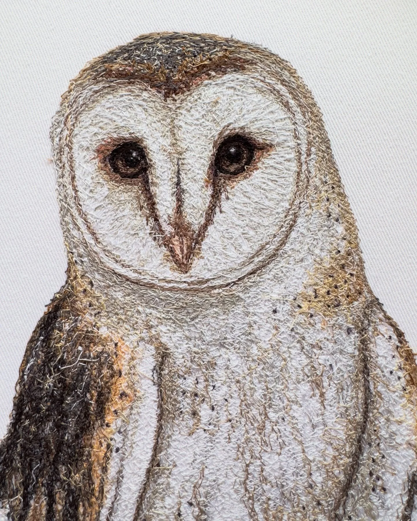Thanks for all your suggestions for what you&rsquo;d like to see on cards! First up we have this owl! 🦉

Fun fact: owls were one of the first animals I embroidered nearly 9 years ago! So it was really nostalgic to sew one again! 🥲 

I&rsquo;ve been