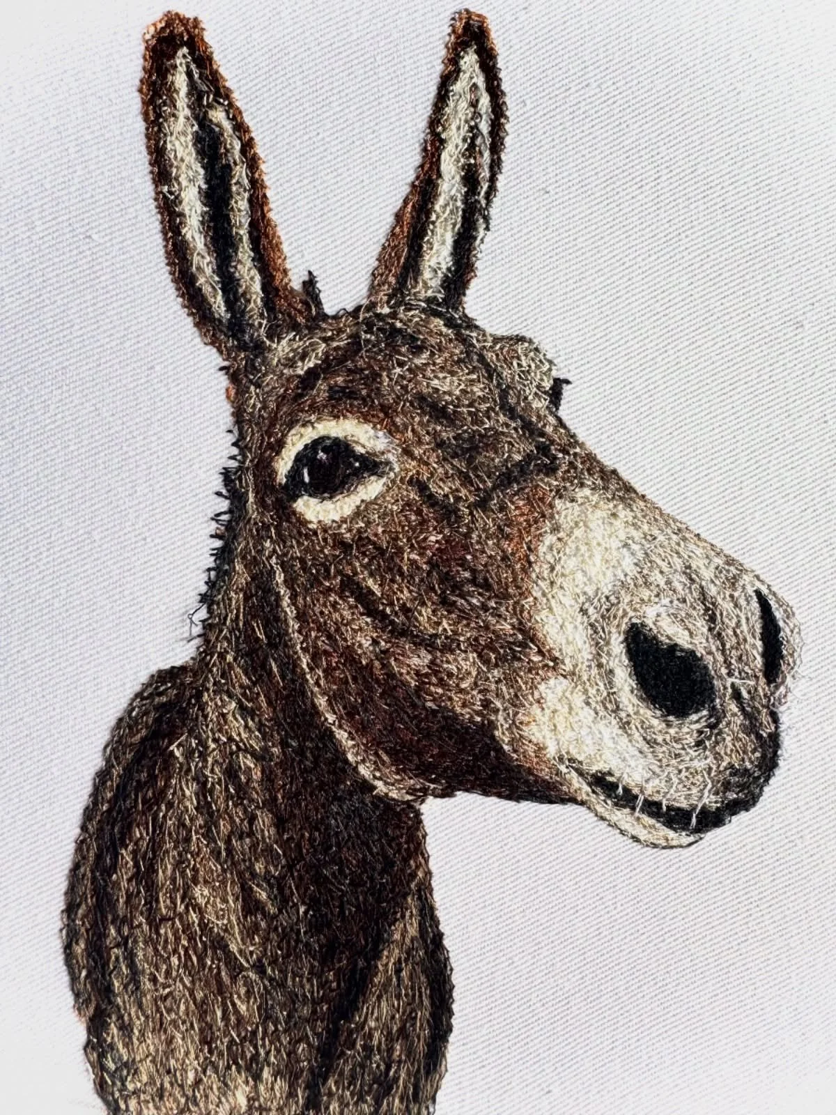 Another embroidery, just for fun! 🫏

This time, a cute little donkey! This will be appearing on greeting cards soon!