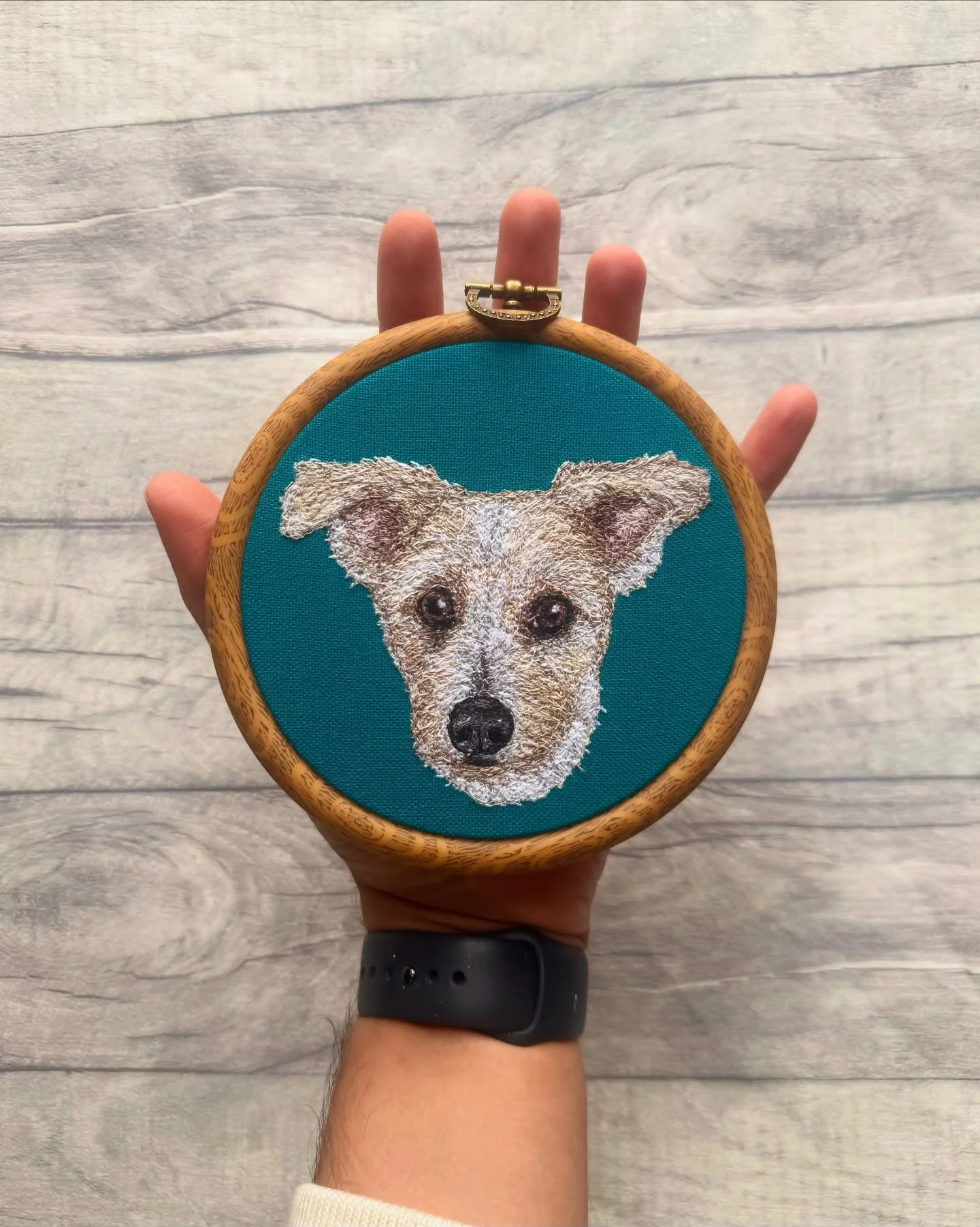 A cute little 5 inch hoop of this cutie! 💙

Such a nice contrast of his fur into this aqua fabric!