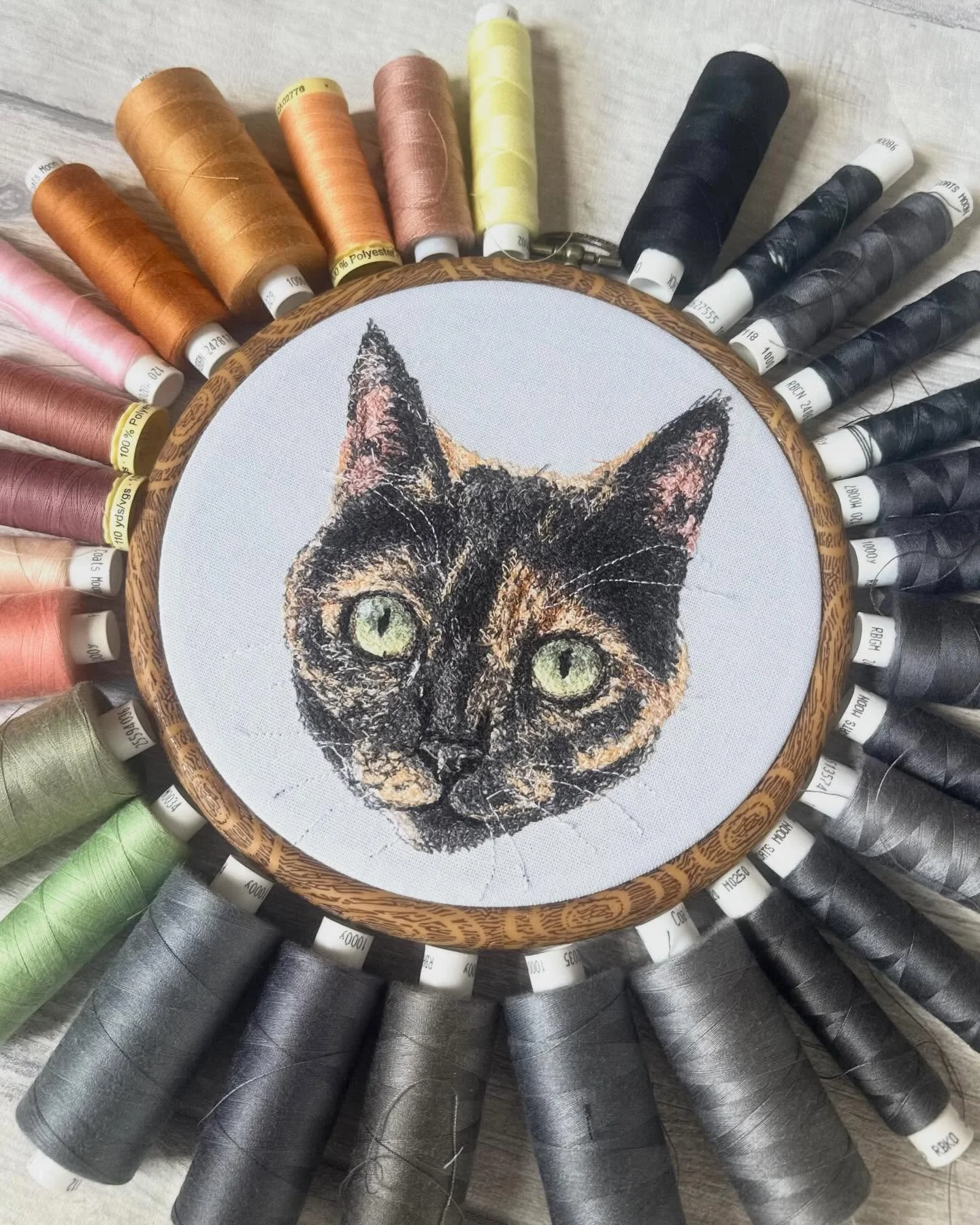 Happy Tuesday! 🩵

This is a 5 inch hoop on the Mist fabric. 🐱 We are definitely on the run up to Christmas now which is scary, can&rsquo;t believe it&rsquo;s October tomorrow!?! 😅