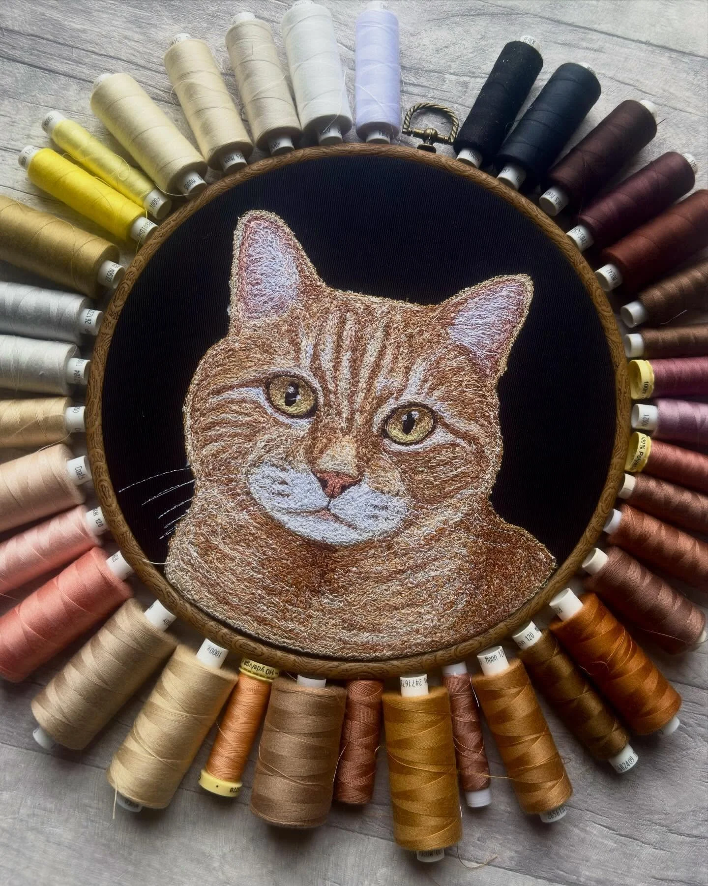 Happy Friday!! 🐈

Hope you all have a fab week?! I&rsquo;ve got such an exciting week, next week. I can&rsquo;t wait to show you!! 

It&rsquo;s been very cat heavy on the feed recently?!