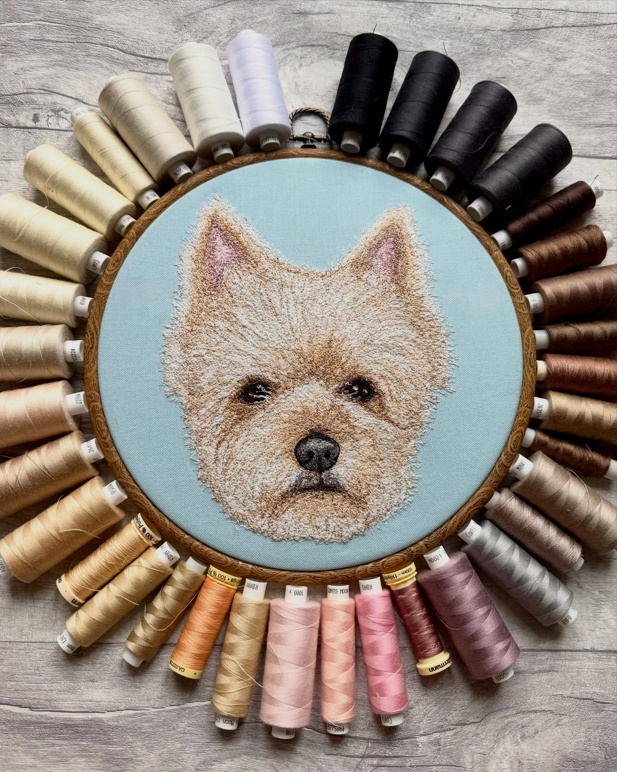 Haven&rsquo;t stitched onto the light blue in a while so this was a night treat! 🩵

10 inch hoops are the best way to capture all that detail! ✨