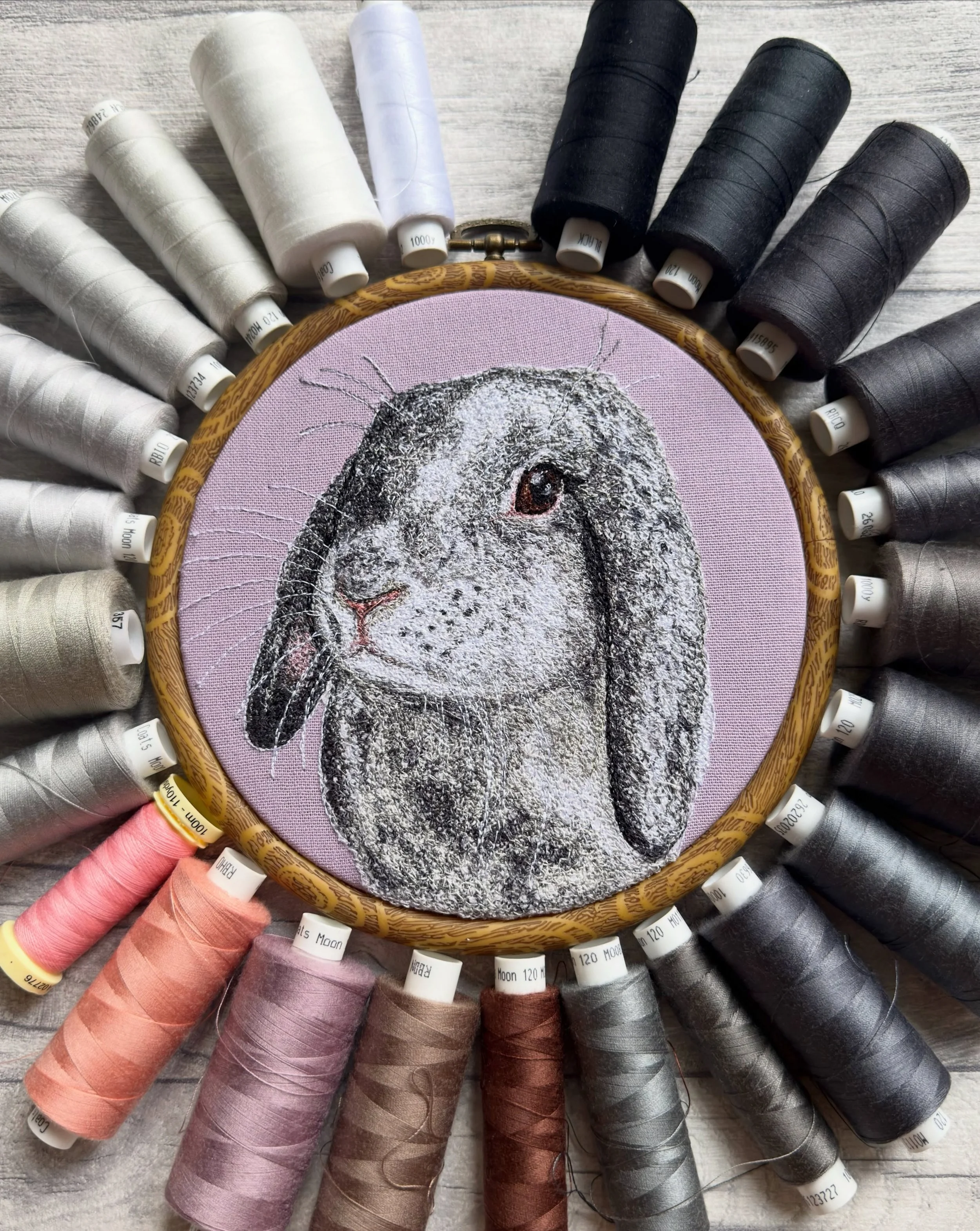 Look at this bunny! 💕🐰

I&rsquo;ve been after a few hoops to replace on my stand at my markets and thought I needed another kind of animal. I really enjoyed embroidering some rabbits a few weeks ago and my friend Daisy just got some beautiful bunni