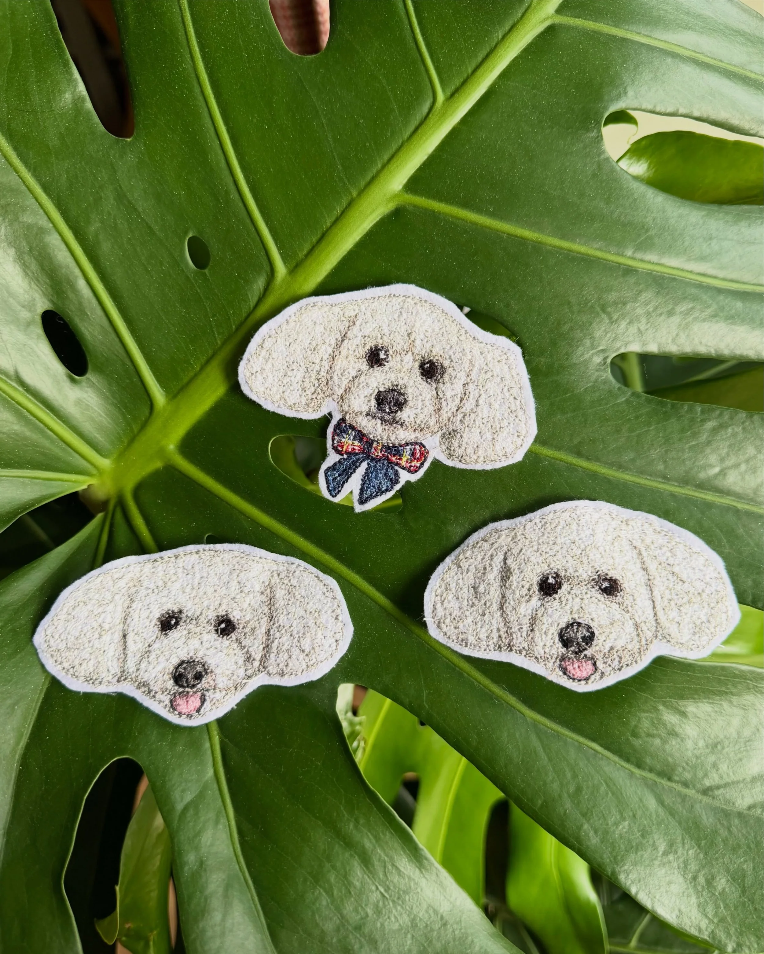 It&rsquo;s always a pleasure to embroider Bertie 💙

These patches are super cute and great for sewing/ironing onto already existing loved garments!! ✨

Thank you Kathryn for your ongoing support!!