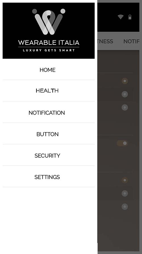 Wearable Italia Application Interface