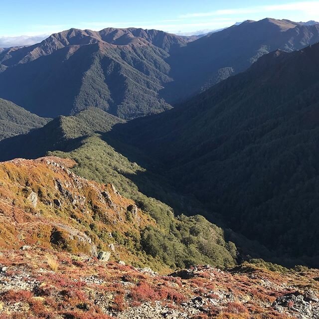 How good? So nice to be back on the Kaimanawa tops (even though it was windy as hell and there was zero tucker) #kaimanawa #sika #hunting #nzhunting