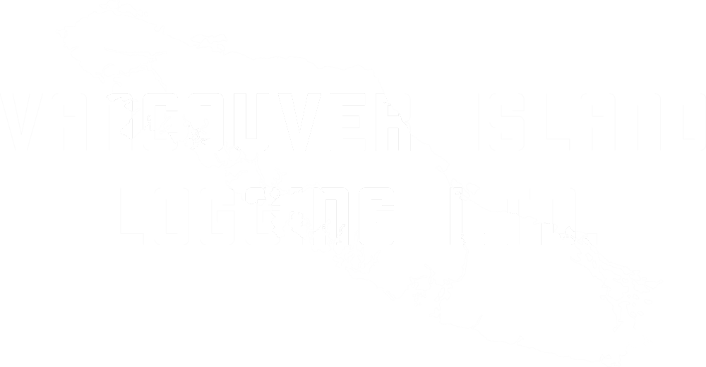 VI Logging.png
