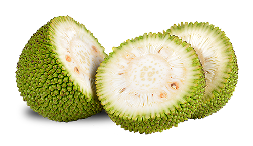 marvellous_foods_yaca_footer-2.png
