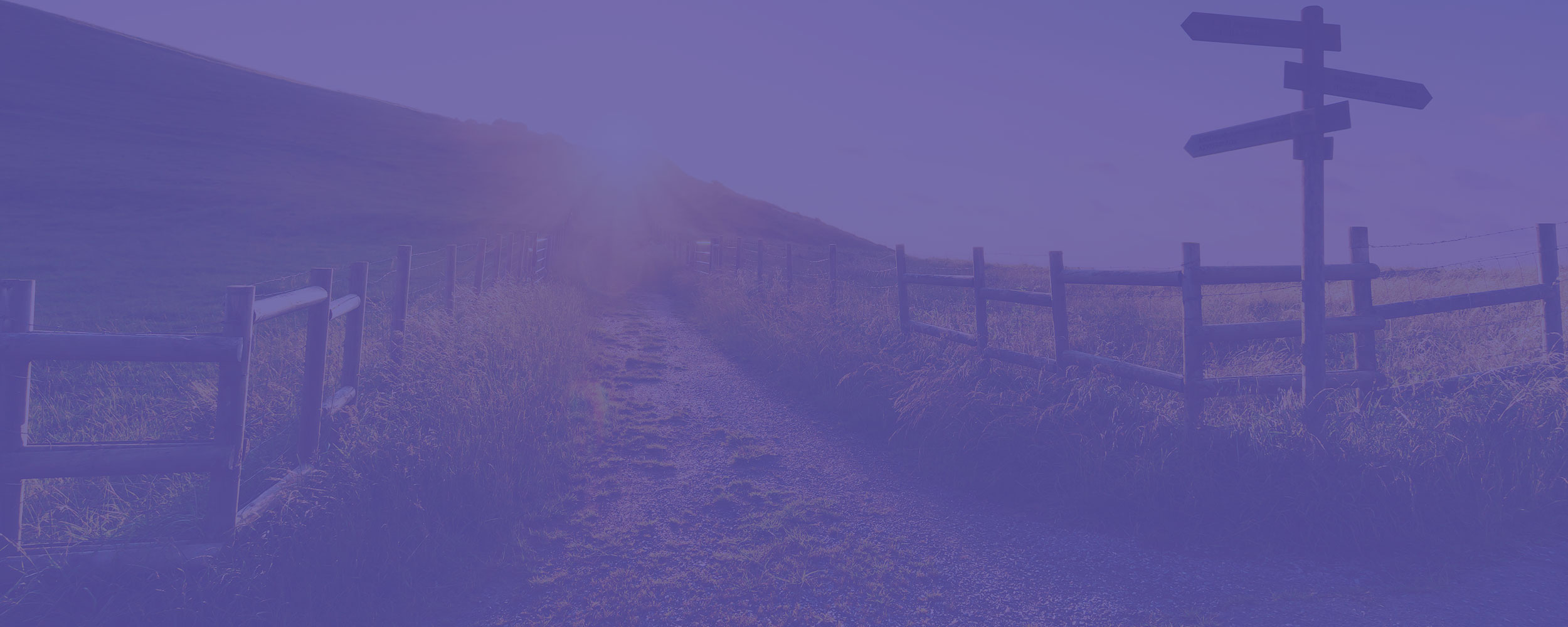 purpleroad.jpg