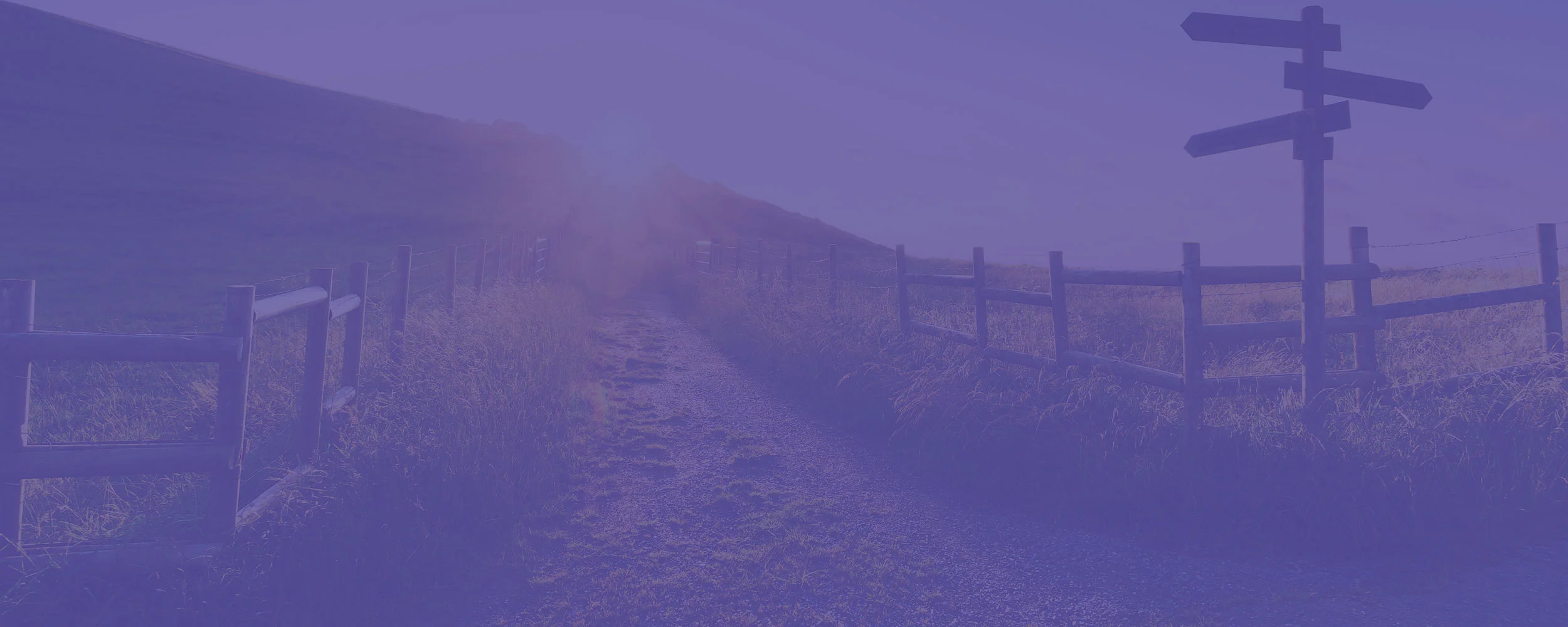 purpleroad.jpg