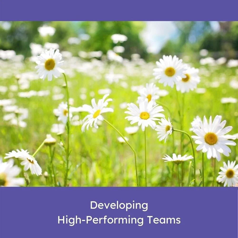 MindSpring Product Template_Developing High Performing Teams.jpg