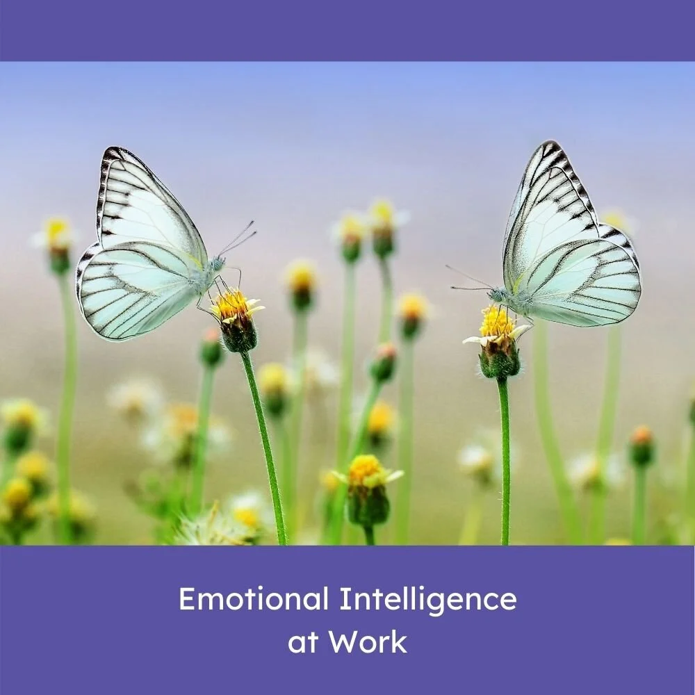 MindSpring Product Template_Emotional Intelligence at Work.jpg
