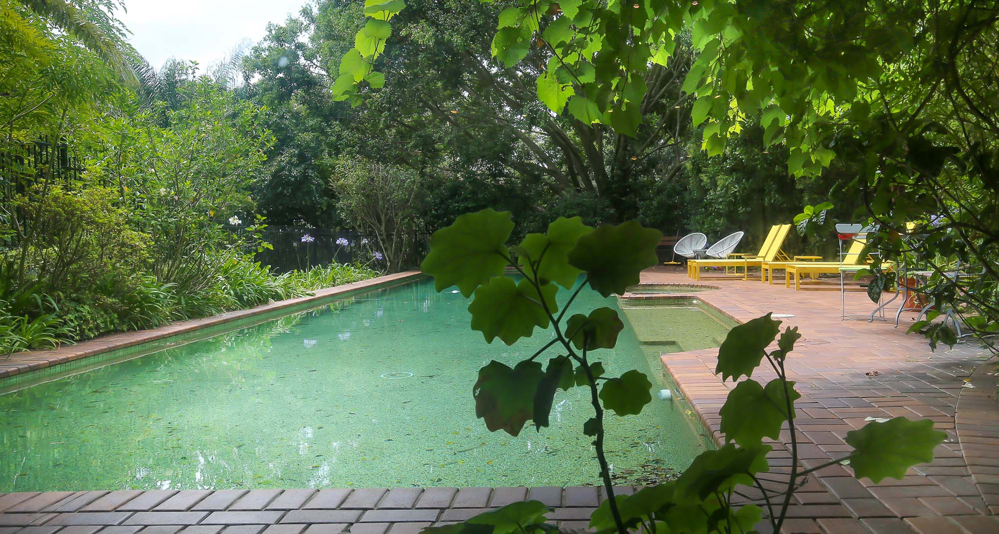 31 Olola Ave,Vaucluse-33.jpg