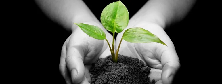giving-seed.jpg