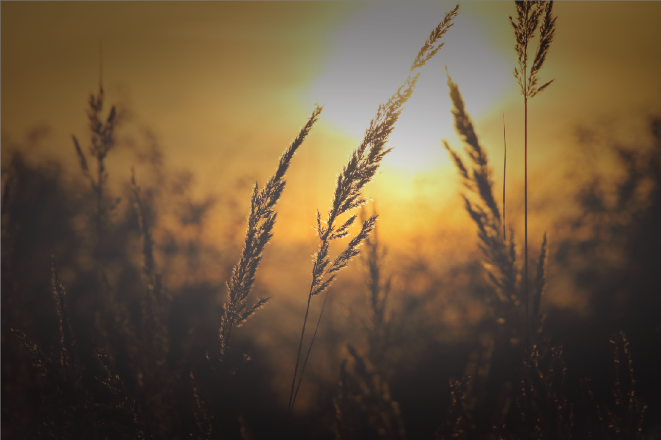 Ministries Image.png