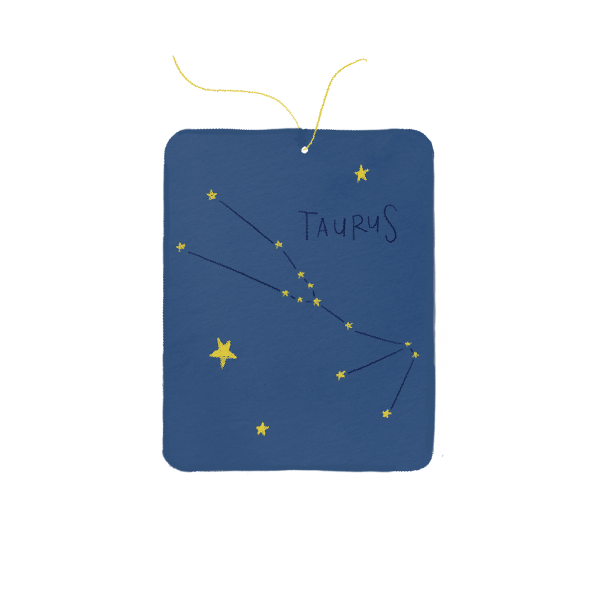 jami darwin taurus image.jpg