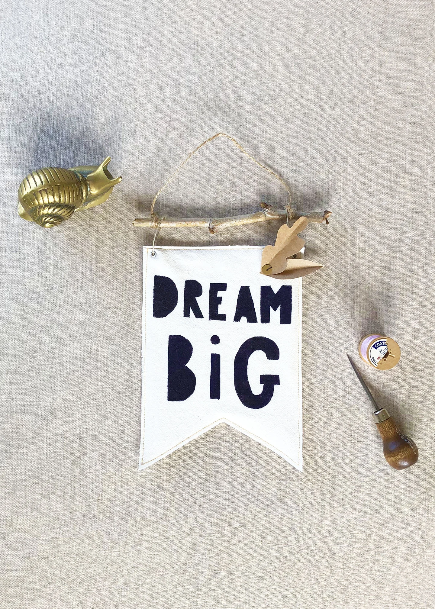jami darwin dream big banner.jpg