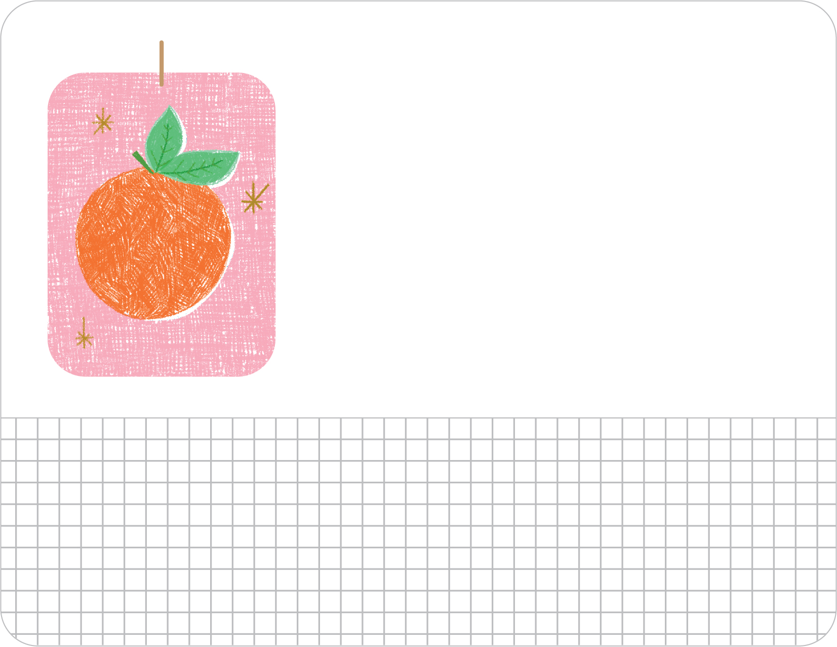 N126_jami_darwin_orange.jpg