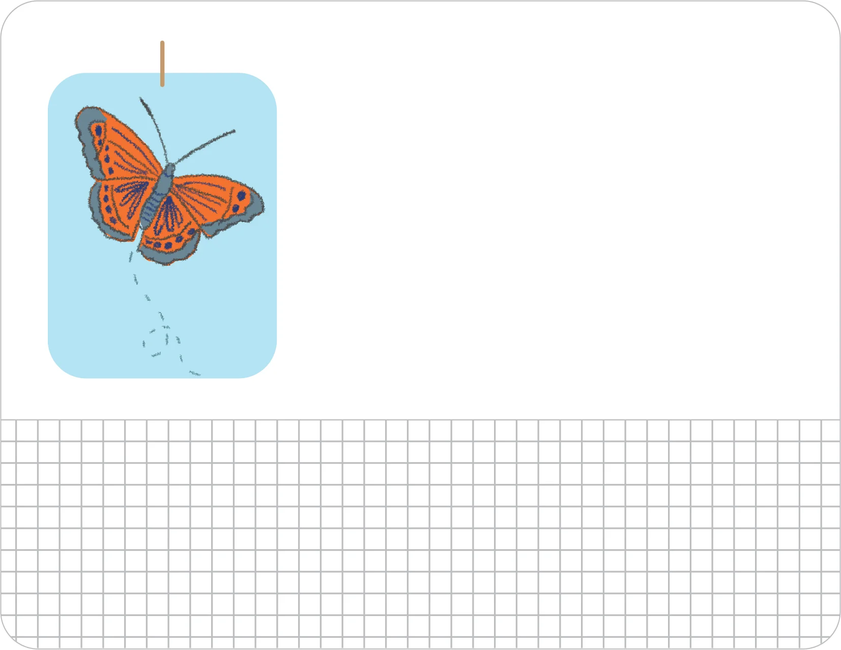N127_jami_darwin_butterfly.jpg