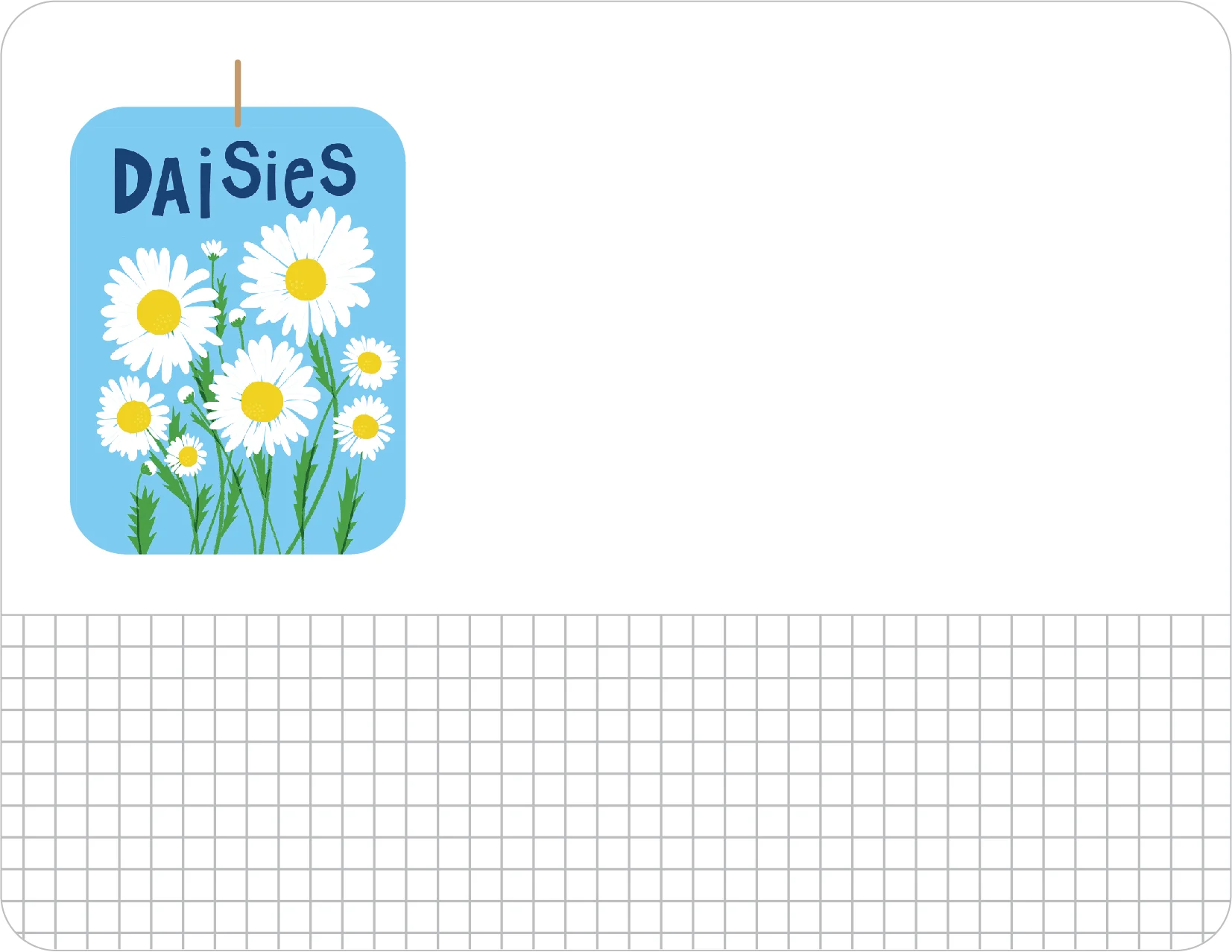 N132_jami_darwin_daisies.jpg