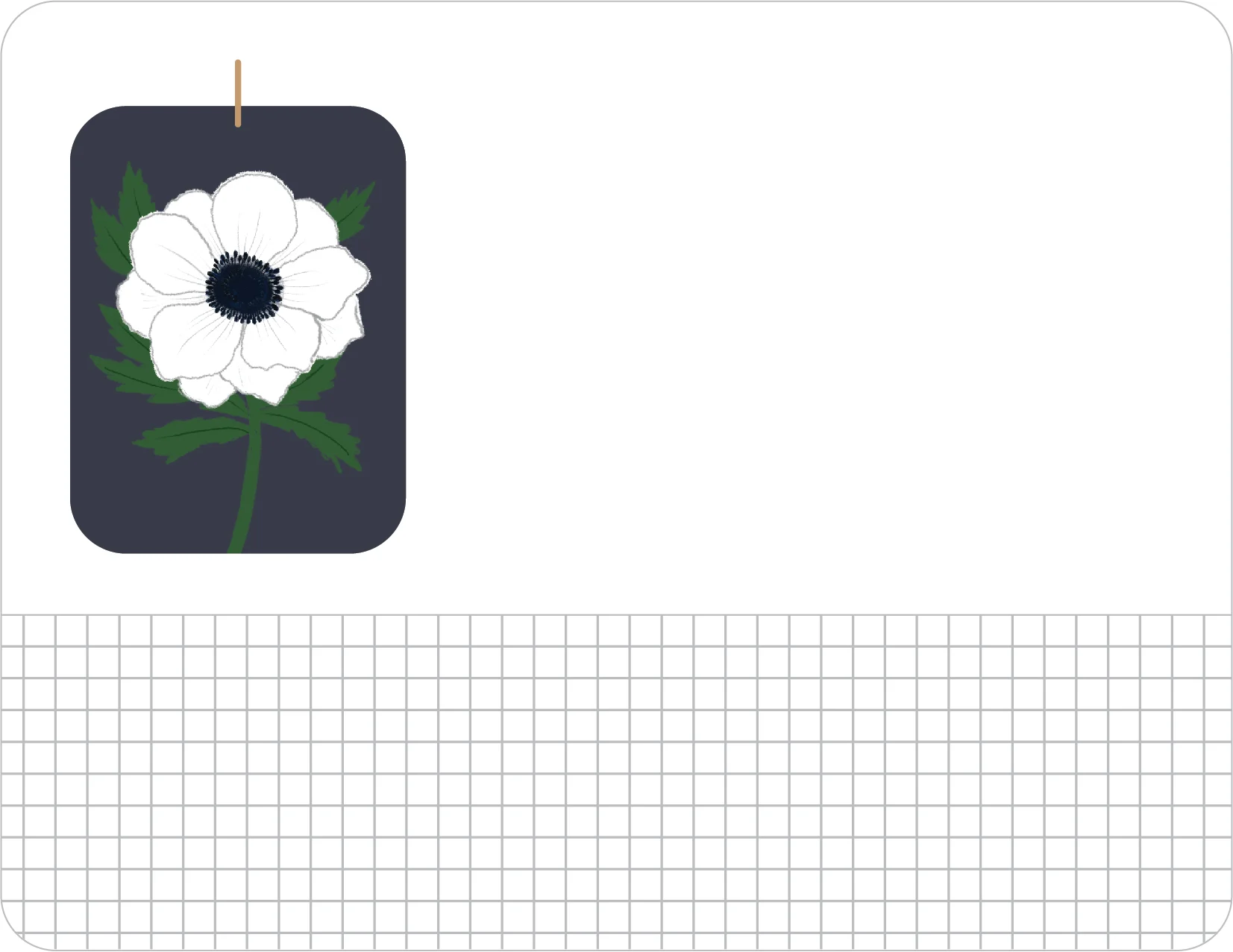 N137_jami_darwin_hello_anemone.jpg