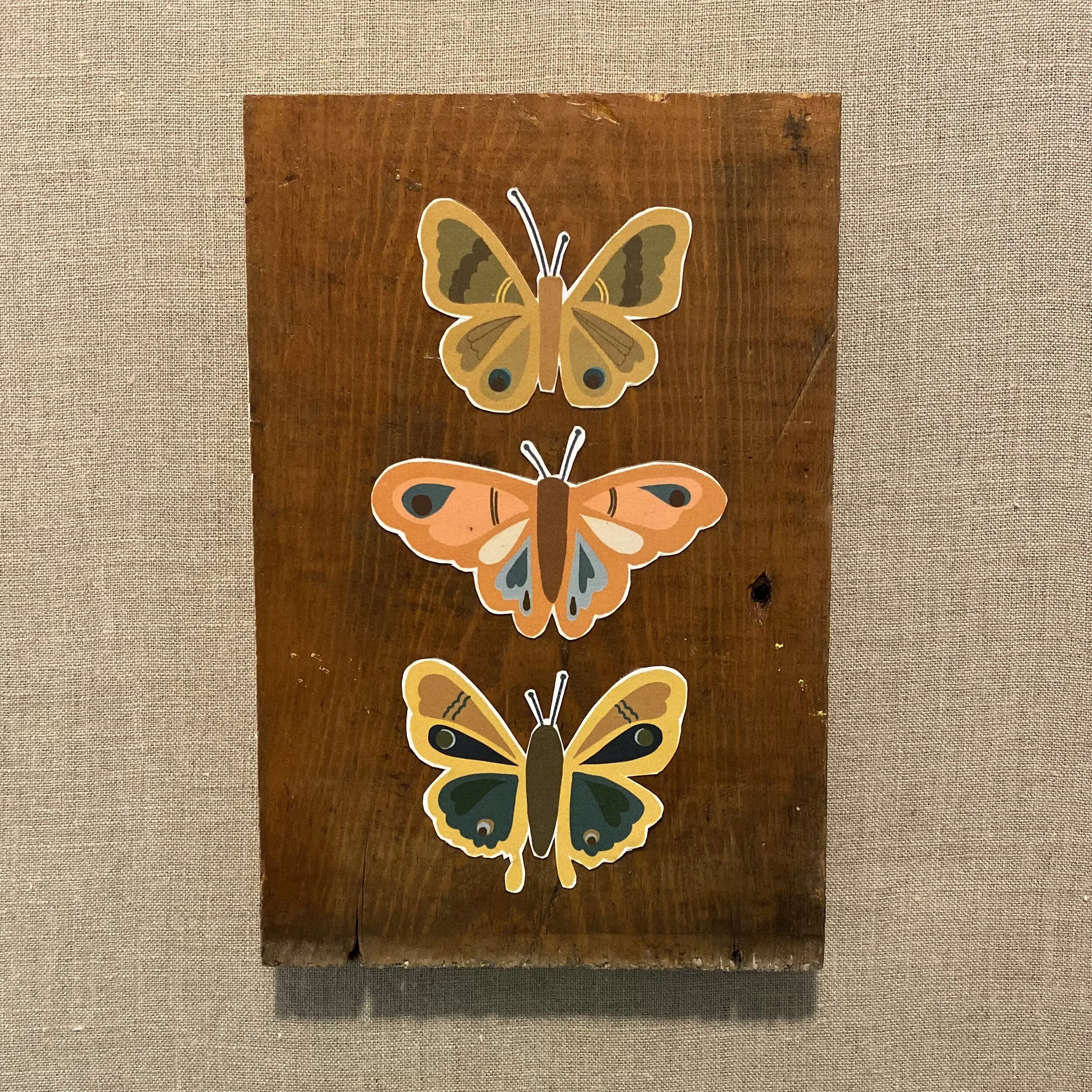 jami darwin butterly triptych.JPG