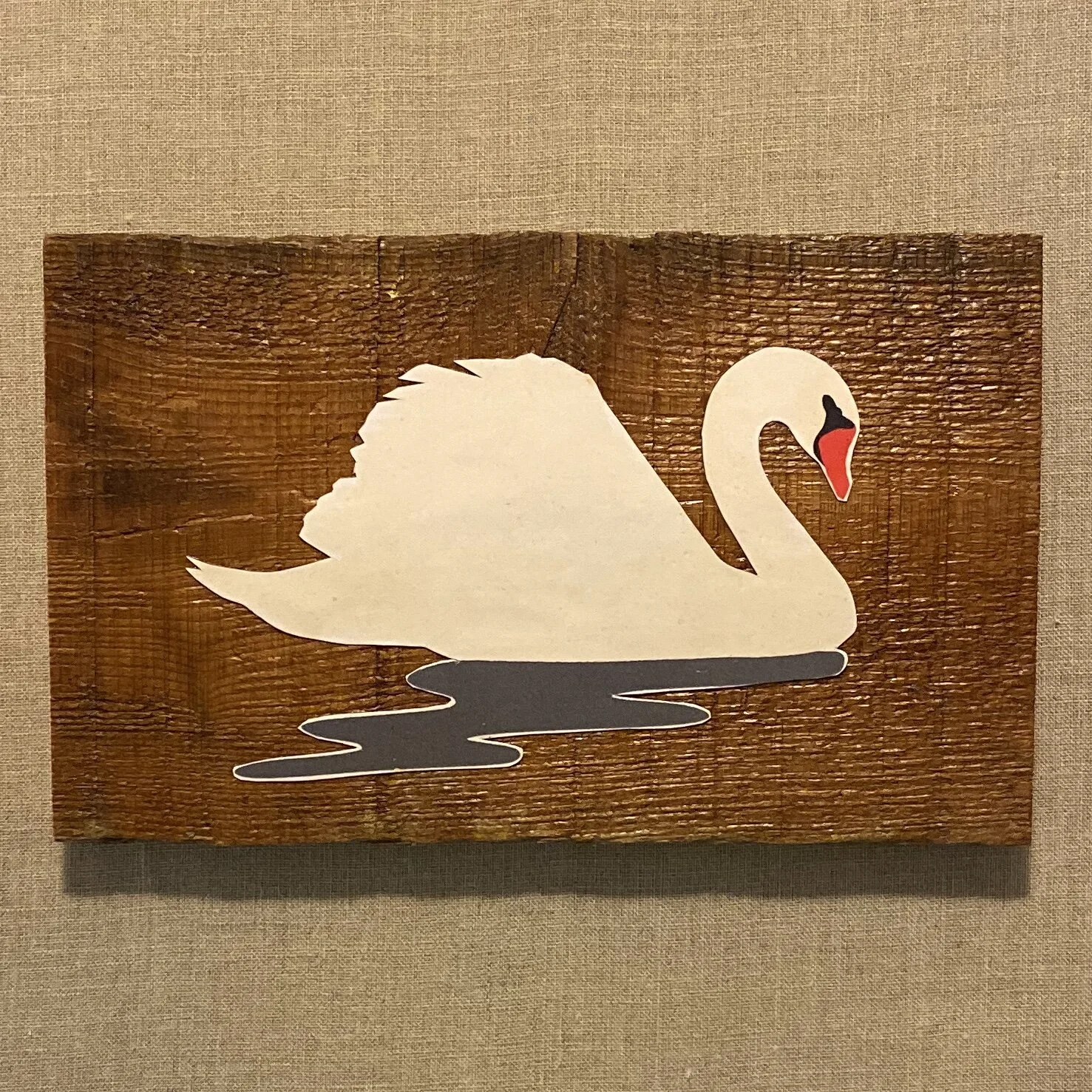 jami darwin swan.JPG