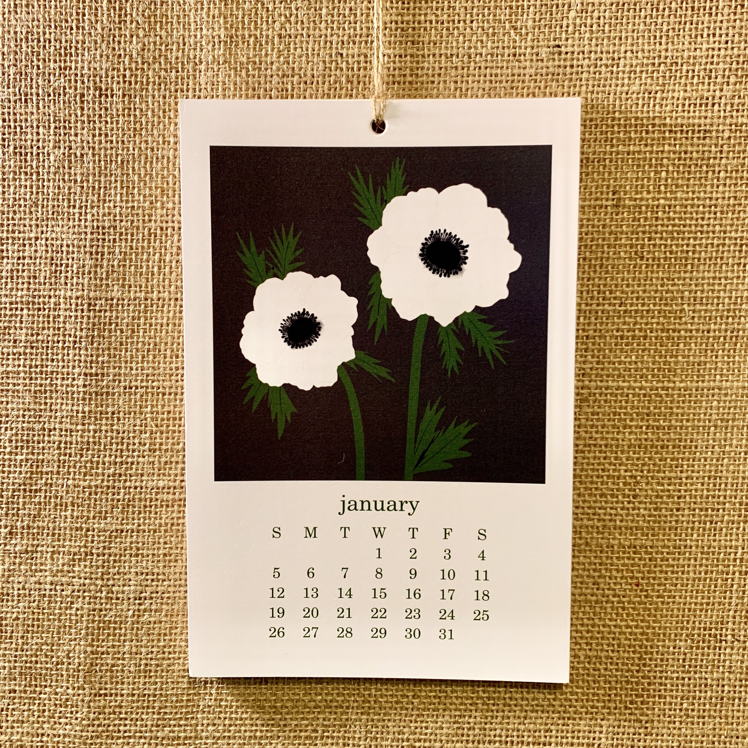 jami darwin 2020 calendar january close up.jpg