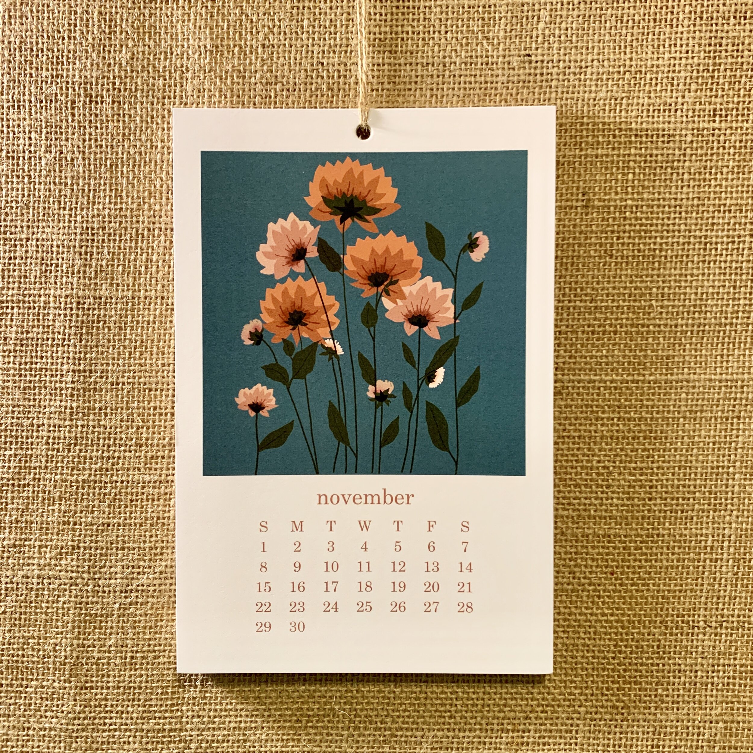 jami darwin 2020 calendar november.jpg