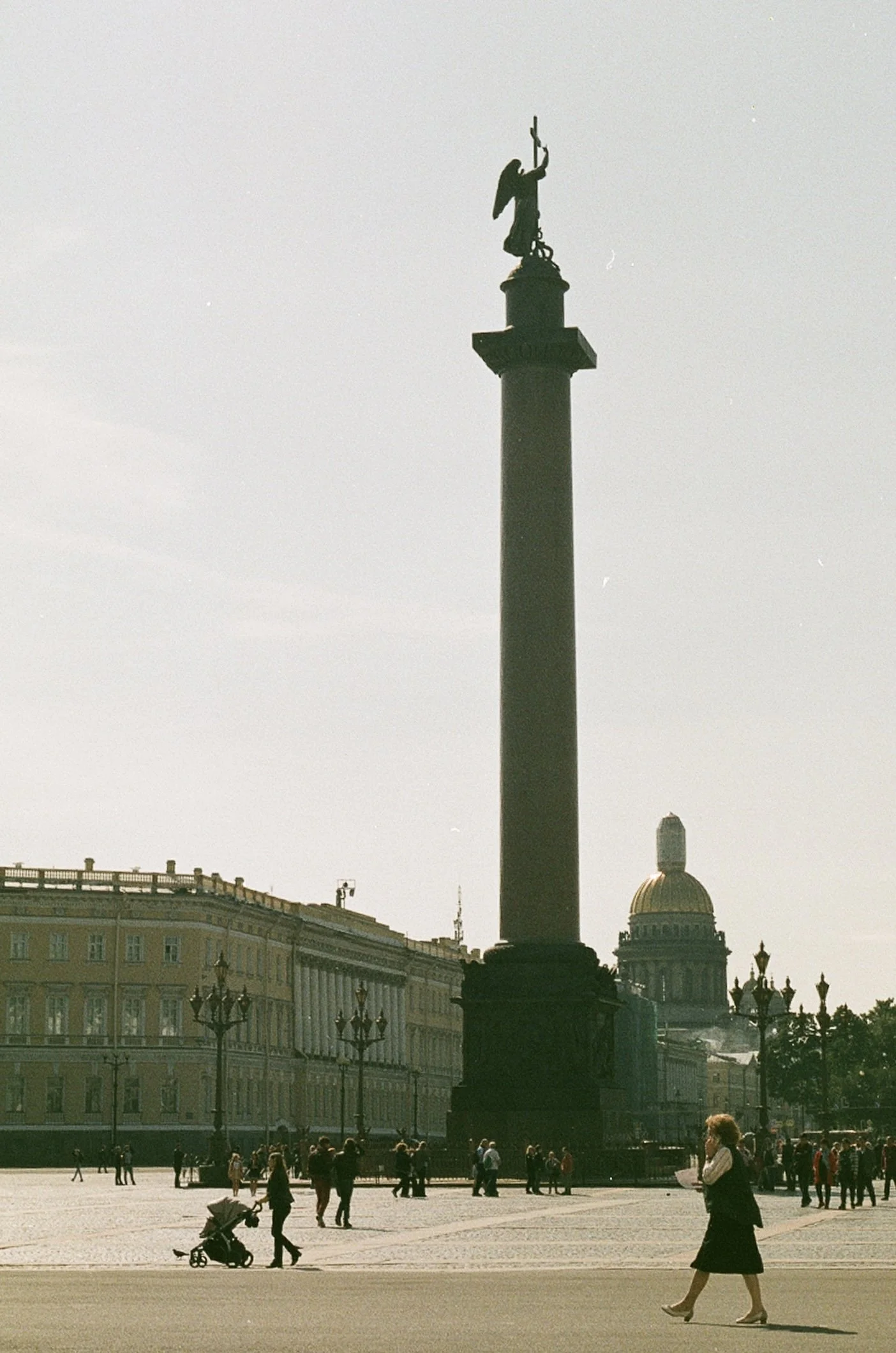 16270033.jpg