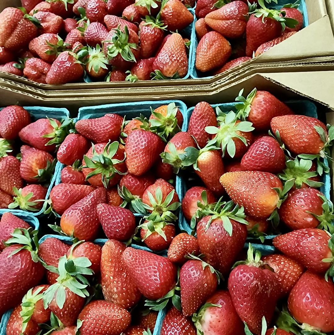 LOCAL PRODUCT ALERT! Fresh strawberries from Bernie's Berries in Greensboro were delivered this morning. Strawberry season is finally here. 

#SeeYouAtSteves #localNC #alamancenc #localproduce #freshstrawberries