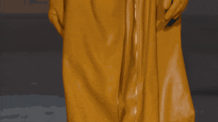Image-7e7c156b-d7ba-4855-9eb1-a8cf0f5c0deb.gif