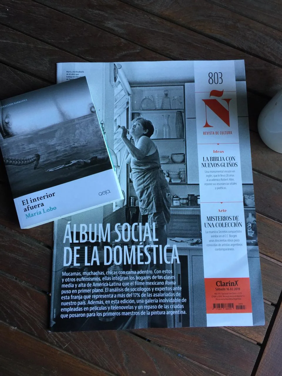 revista-Ñ-maria-lobo-interior-afuera-emilio-juardo-naon.jpeg