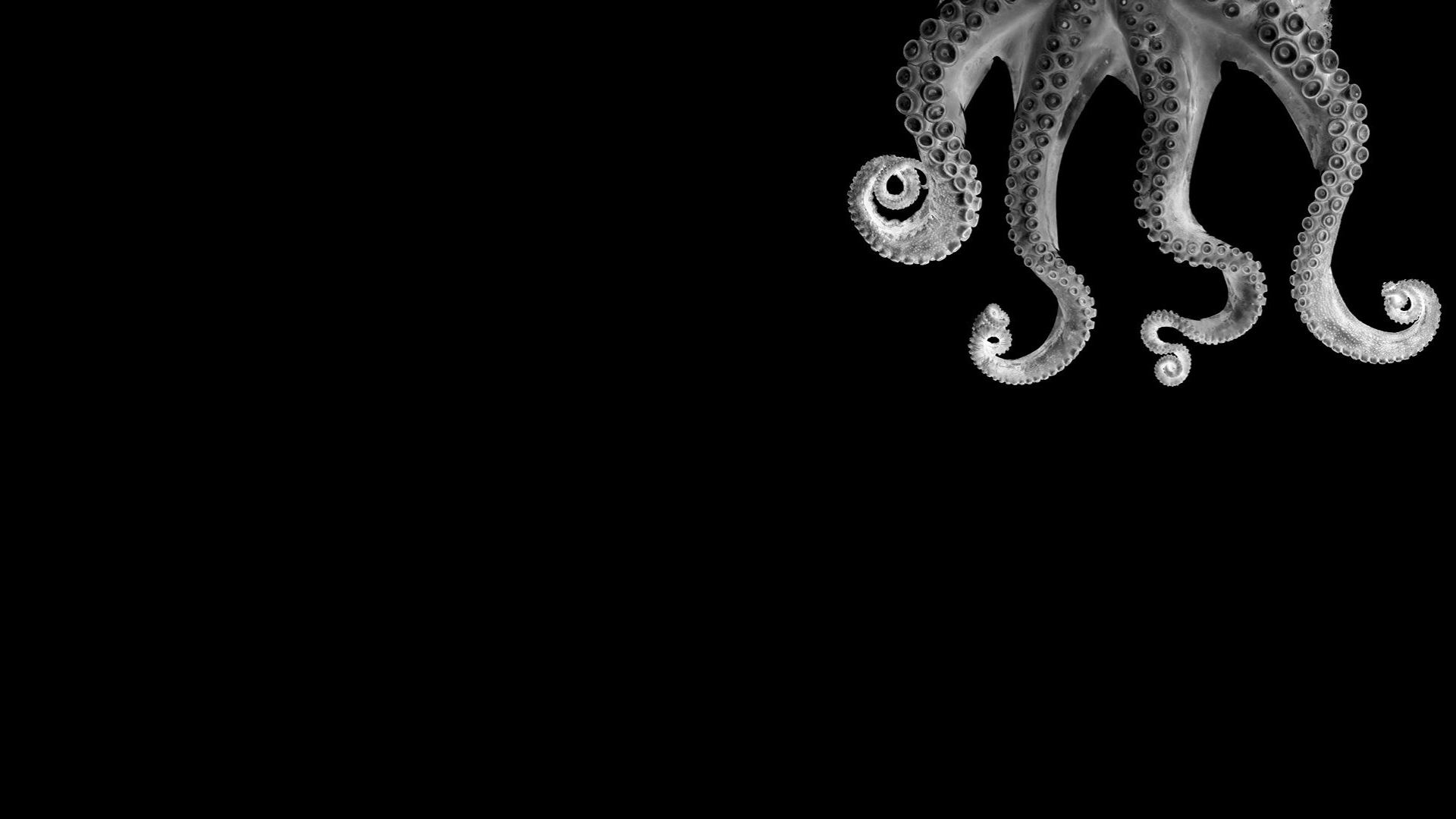 qeja-ediciones-ebook-club.png