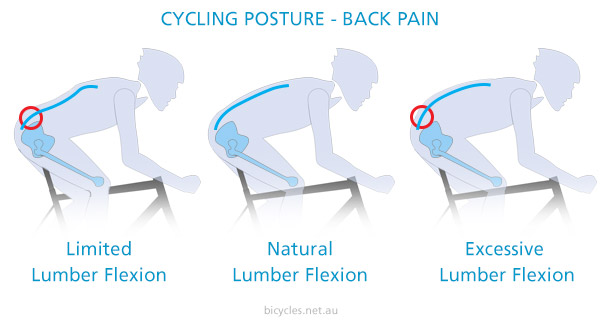 Cycle-Posture.jpeg