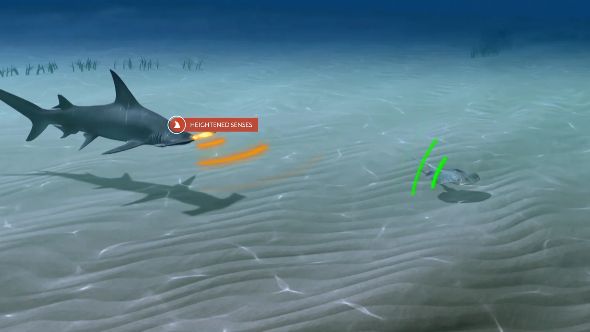 An Enhanced In Stream Video Experience