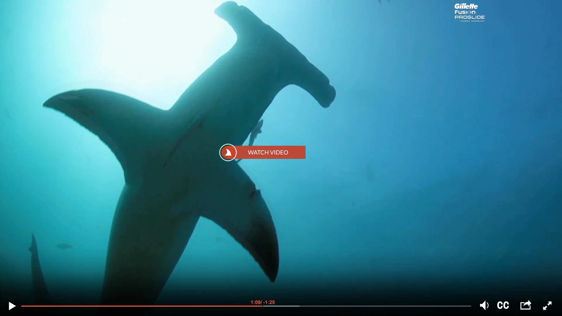 gillette_vid-.jpg