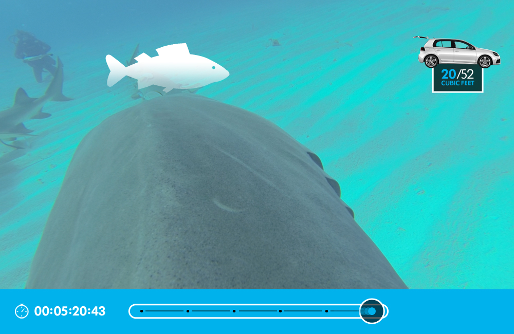 1_0007_gameplay frame 2.jpg