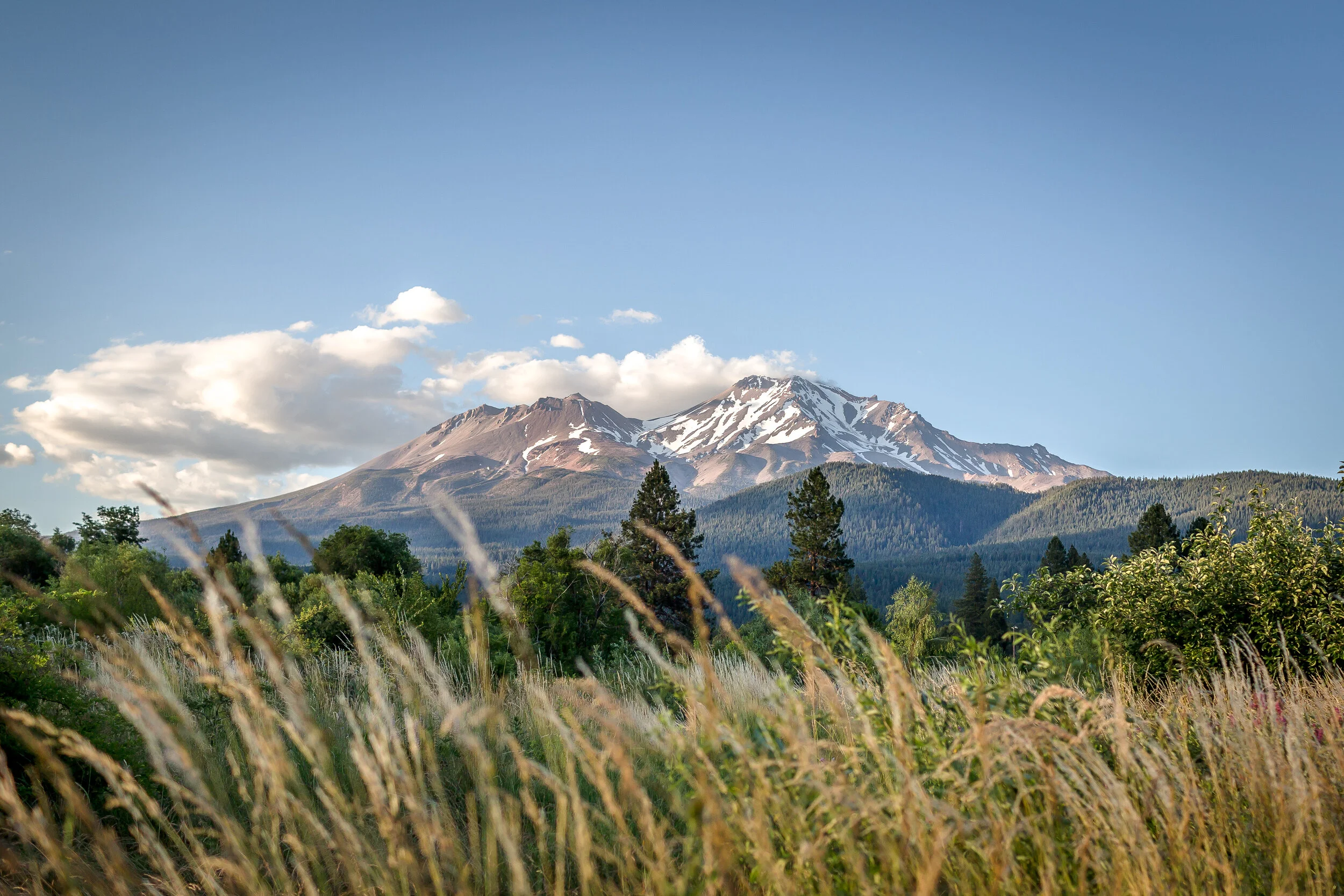 Copy of WayferEngagement-16.JPG