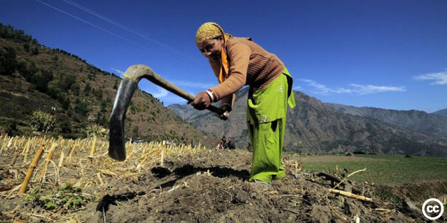 Woman hoeing.jpg