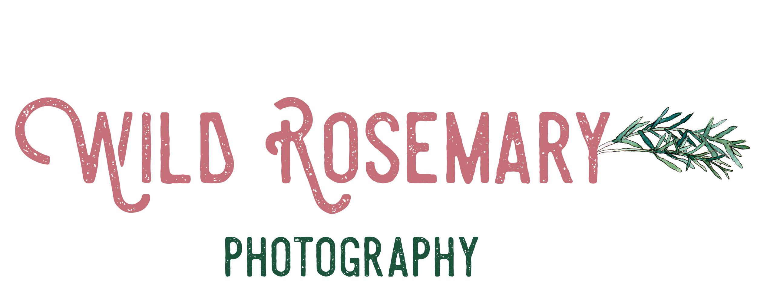 Wild Rosemary Photography