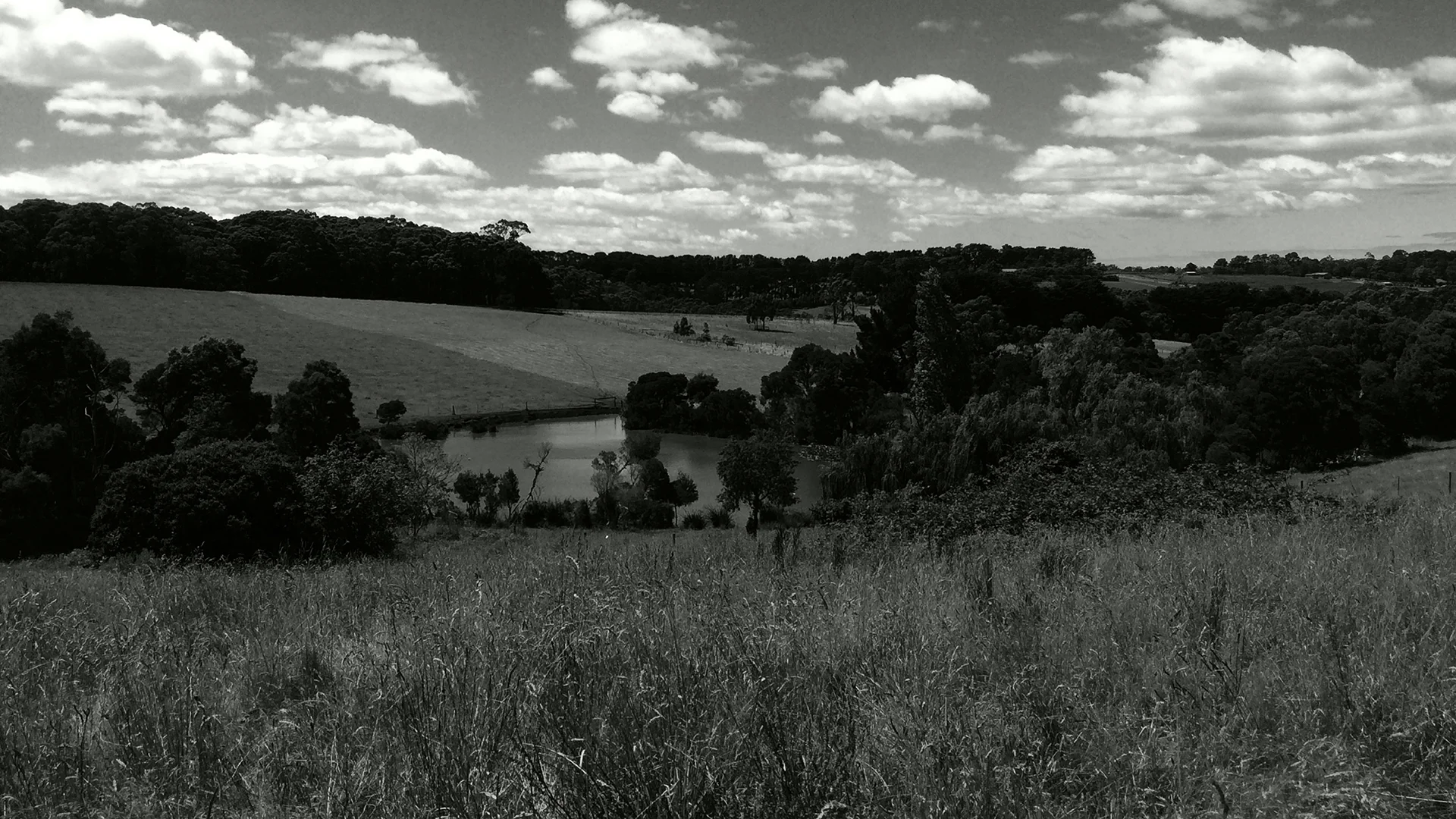 Main Creek Road2_1920x1080_.jpg