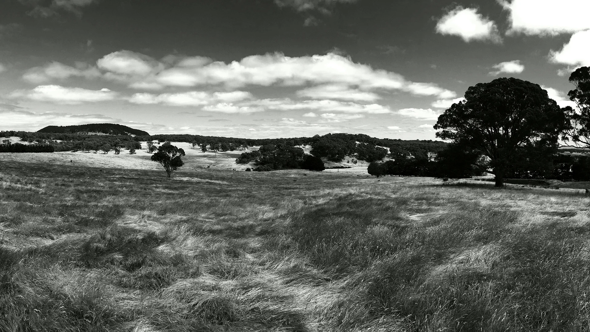 Porcupine Ridge21920x1080.jpg