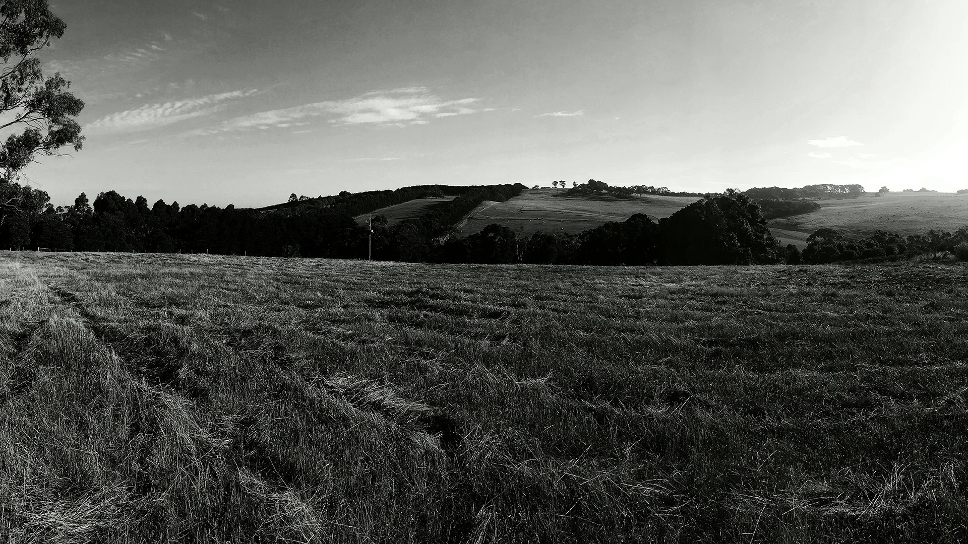 Musk Creek21920x1080.jpg