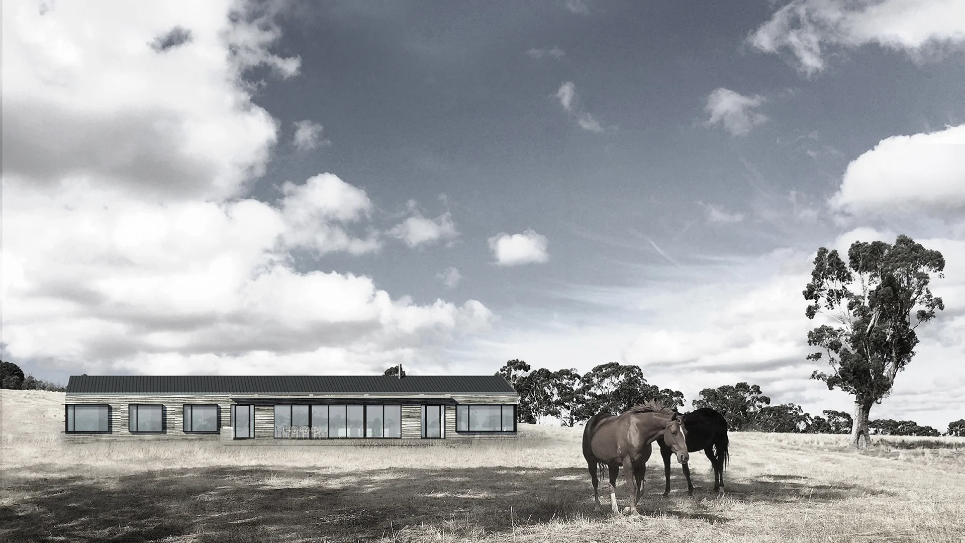 Porcupine Ridge House