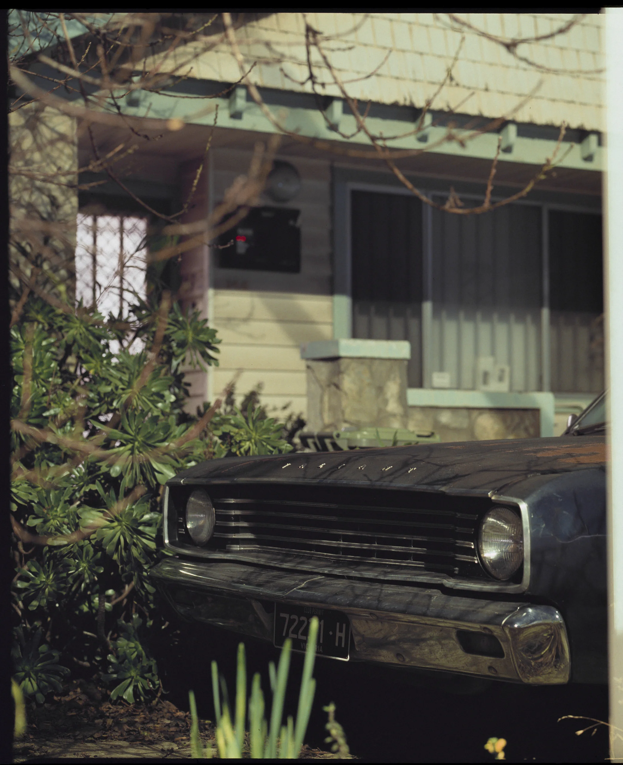 SW20180731-Picture 008-2.JPG